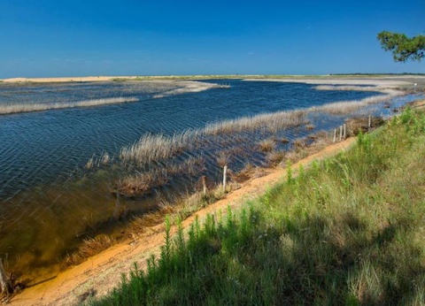 OFFRE CHOC - Camping Les Violettes 4* - 39