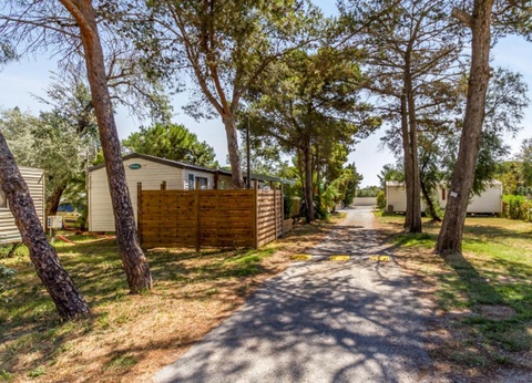 Camping Cap du Roc, 4* - 15