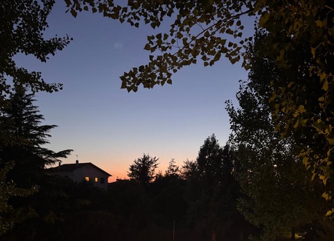 Village de Chalets Auguste Delaune - 31