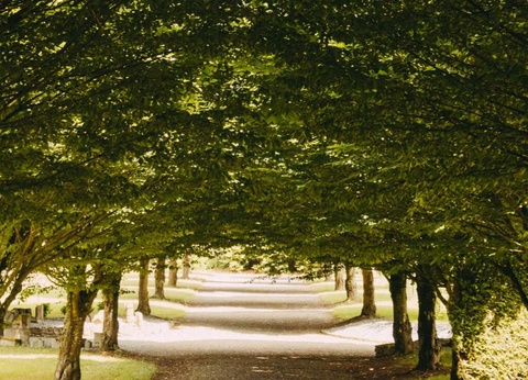 Détente et gastronomie dans une ancienne abbaye près de Saint-Malo - 4* - 16