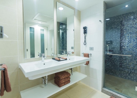 Hôtel Riu Playacar 5* - 5