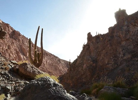 Circuit Privatif au Chili, Voyage au Coeur de l'Atacama - 8