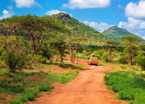Circuit Safari au coeur des grands parcs du Kenya - 28