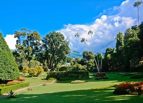 Circuit Le Sri Lanka autrement - 15