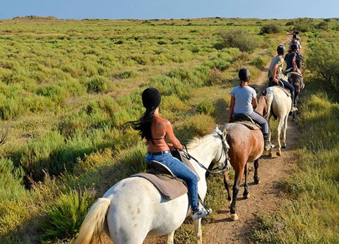 Camping Bleu Marine, 4* - 56