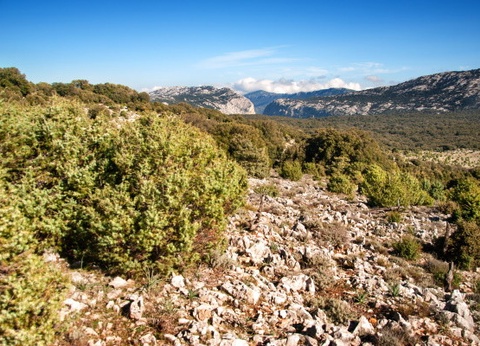 Autotour Douce Sardaigne en liberté - 11