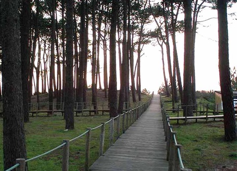 Camping Caminha 3* - 10