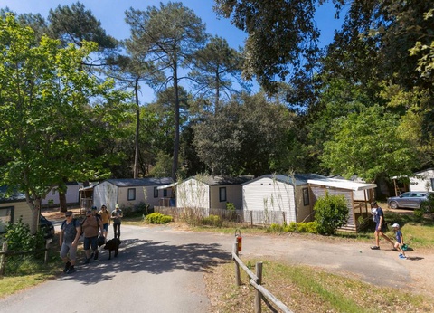 Camping Parfums d'Eté 4* - 91