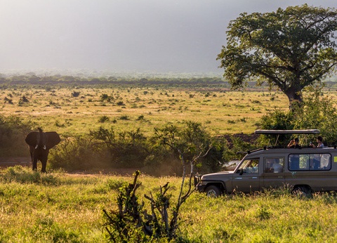 Circuit Safari au coeur des grands parcs du Kenya - 29