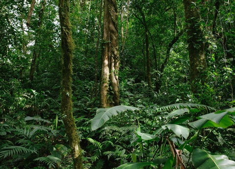 Circuit Sur la trace des Incas : de la Vallée Sacrée aux profondeurs de l'Amazonie - 7