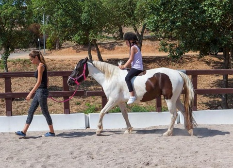 Domaine De La Bergerie, 5* - 15