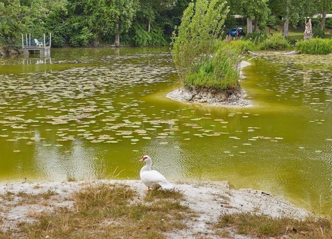 Camping Le Parc des Allais, 3* - 20