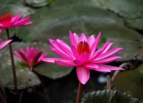 La Cantate du Mékong, pont principal hublot - Cambodge, Vietnam - 23