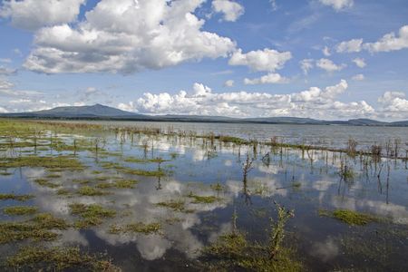 Circuit Merveilles du Kenya Mara - 18