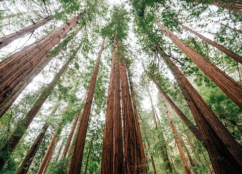 L'Ouest Americain 2 et 3* - 16