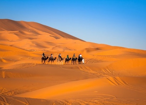 Circuit Circuit Evasion Désertique - 8