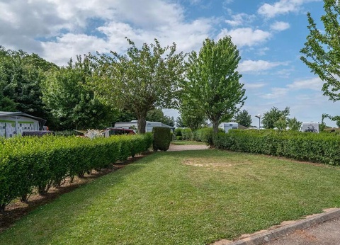 Flower Camping Vitamin, 4* - 21