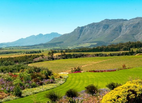 Circuit Immersion en Afrique du Sud - 11