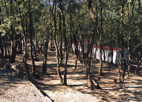 Camping Boschetto di Piemma, 3* - 28