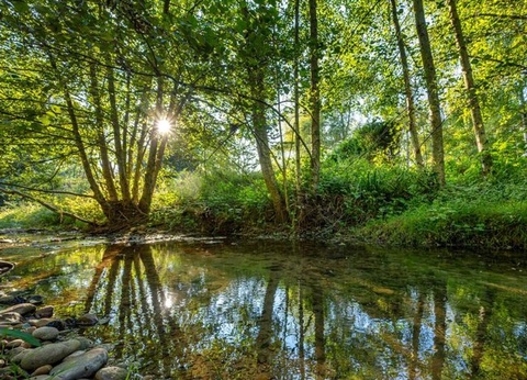 Camping Le Bontemps - Ciela Village, 4* - 85