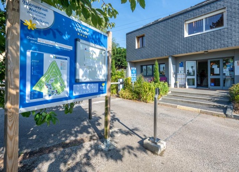 Flower Camping Vitamin, 4* - 43