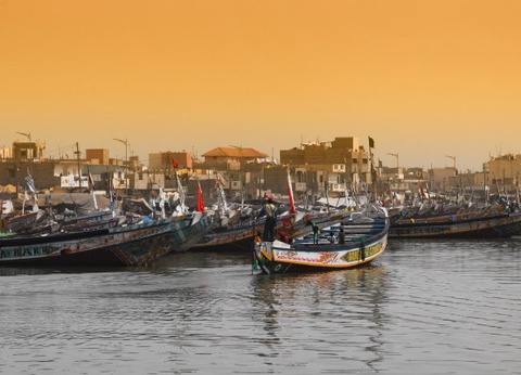 Circuit Les Oasis du Sénégal en privatif *** - 22