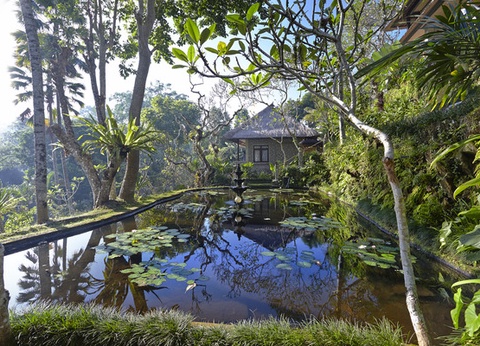 Club Framissima Tjampuhan et Spa 4* - 15