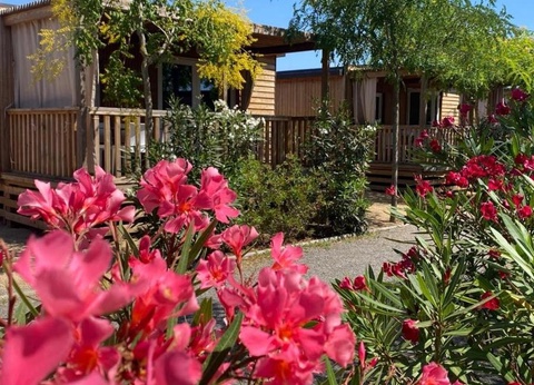 Camping Resort Els Pins, 4* - 26