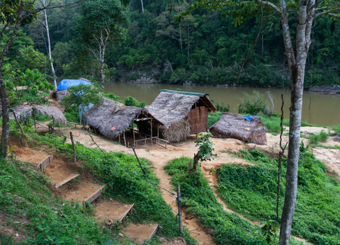Malaisie en Liberté, Sur les Terres Sauvages de Taman Negara 3* - 6