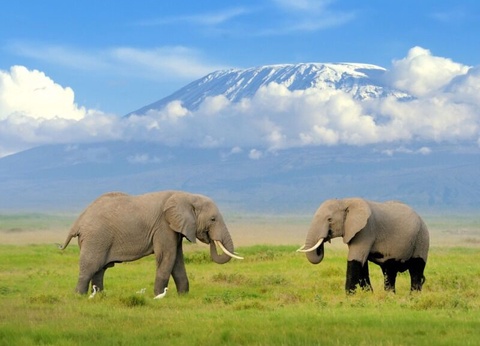 Circuit Simba - De Nairobi A Mombasa - 3