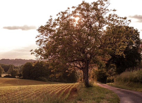 Slow Village Séveilles, 5* - 8
