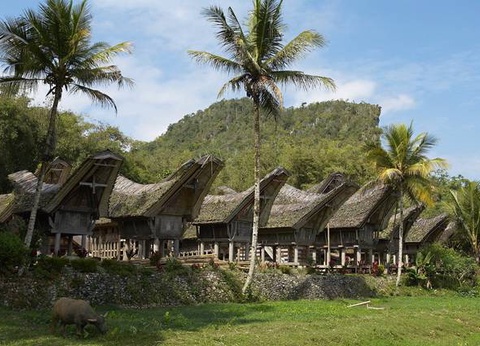 Circuit La Palette Indonésienne - 8