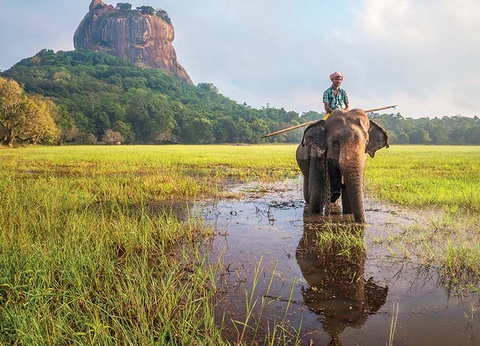Circuit Sri Lanka, trésors de Ceylan - 6