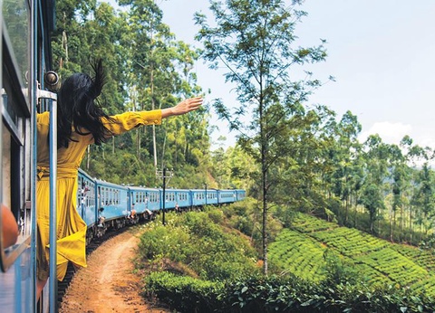 Circuit Le Sri Lanka, Dubaï et Abu Dhabi, de l'Océan Indien au Golfe Persique - 9