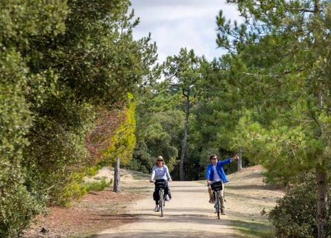 Flower Camping La Davière Plage, 4* - 96