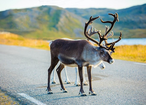 Circuit Regard sur la Norvège - 8 jours / 7 nuits - 4