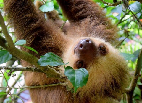 Road Trip Le Costa Rica en famille - 9