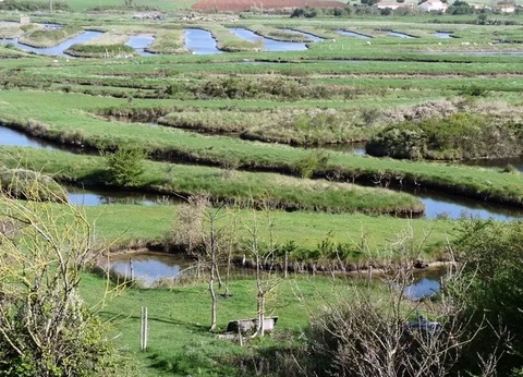 Camping Parfums d'Eté 4* - 95