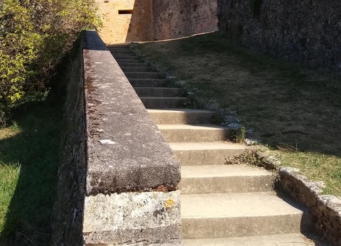 Camping Moulin de David 4* - 77