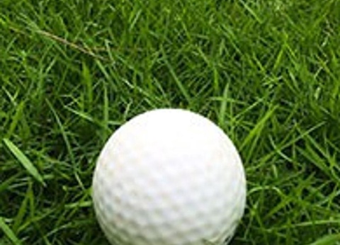 Flower Camping Les Paludiers, 4* - 26