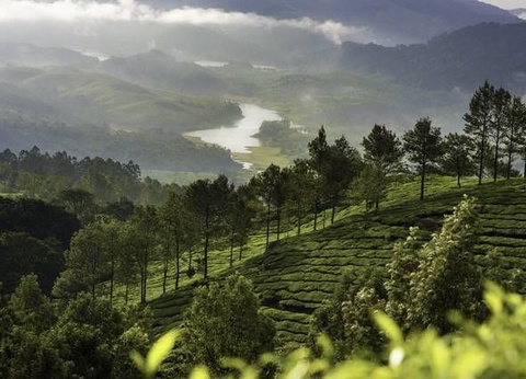 TEMPLES ET EPICES EXTENSION KARNATAKA - 7