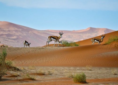 Splendeurs de Namibie et Séjour Chobe et Chutes Victoria 16J/13N - 4