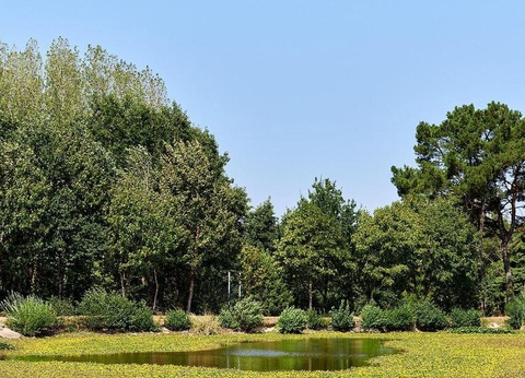 Camping Paradis la Bretonnière, 4* - 68