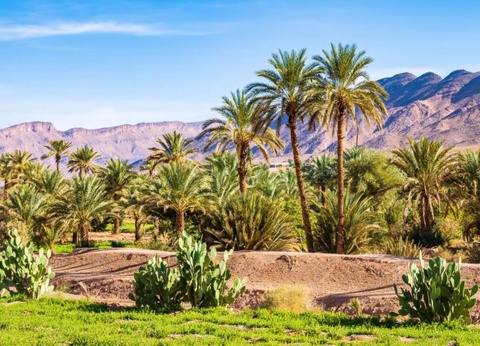 Circuit Ouarzazate la Vallée du dra & extension Cub Eldorador Kenzi Agdal Medina 5* - 9