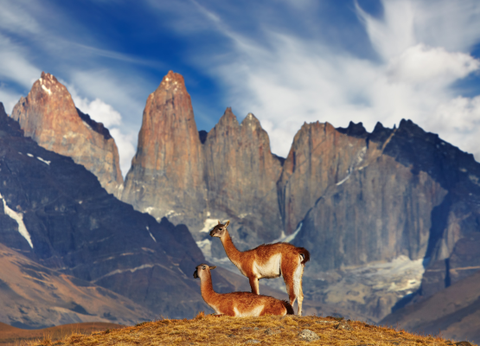 Circuit Contrastes Chiliens : Patagonie, Atacama et Île de Pâques - 19