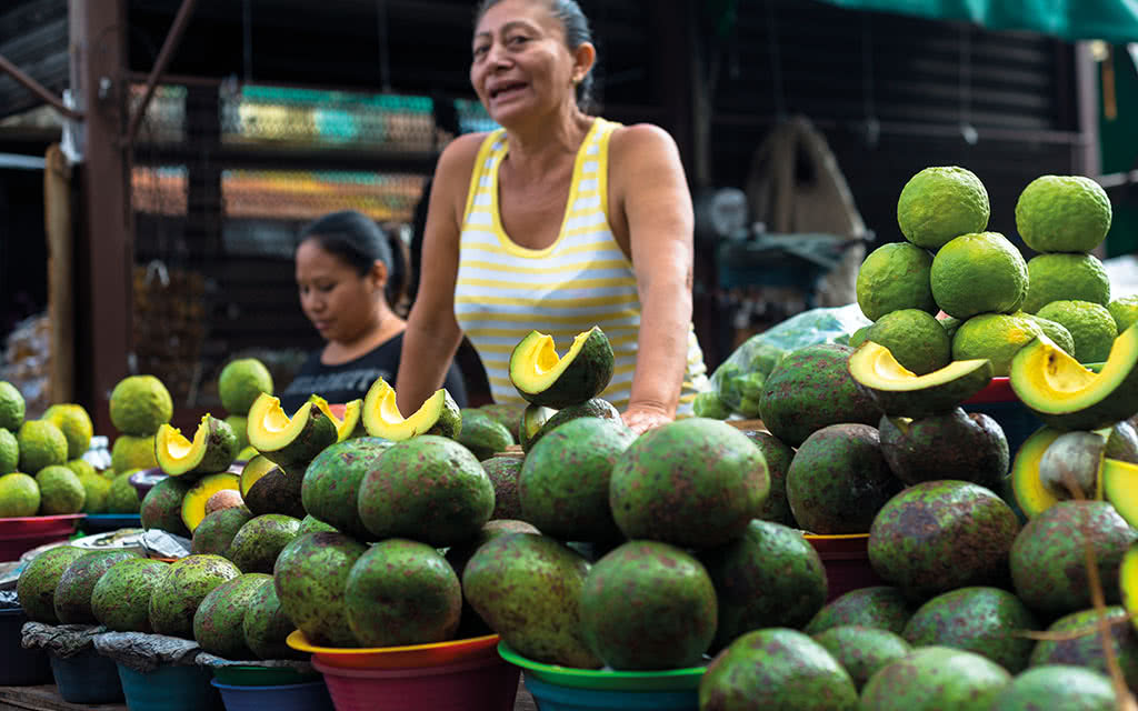 Autotour Péninsule du Yucatan - 10