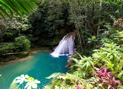 Grand Palladium Jamaica Resort & Spa 5* - 25