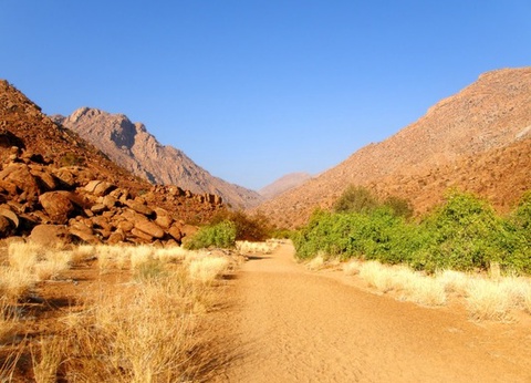 Circuit Namibie : Les plus vieux déserts du Monde **Version 2026** - 17