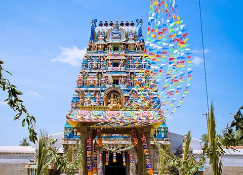 Circuit Comptoirs des Indes, Magie de l'Inde du Sud - 9