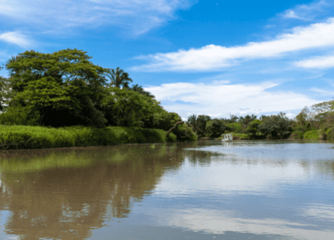 Circuit Joyaux Verts d'Amérique Centrale : du Costa Rica au Panama - 8